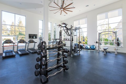 A spacious home gym with a variety of exercise equipment.