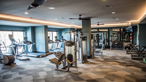 A gym with a variety of equipment including treadmills, weights, and a fan.