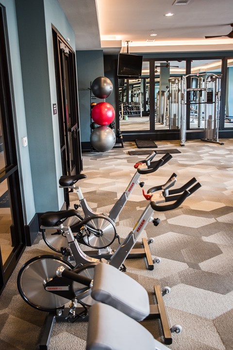 A gym with a row of exercise bikes and a row of exercise balls.