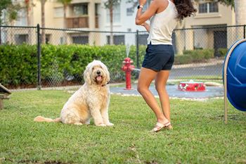 Off-leash Dog Bark Park with Obstacle Course Style Pet Play Areas at The Sophia at Abacoa, Florida, 33458