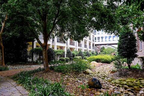 A garden with a path and a building in the background.