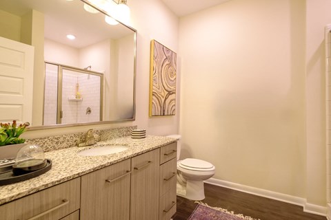 Bath at Berkshire Chapel Hill apartments 201 S Elliott Rd., Chapel Hill, NC 27514