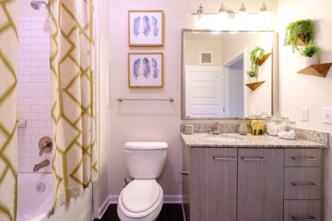 Bath at Berkshire Chapel Hill apartments 201 S Elliott Rd., Chapel Hill, NC 27514