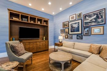 Alexander Village media room