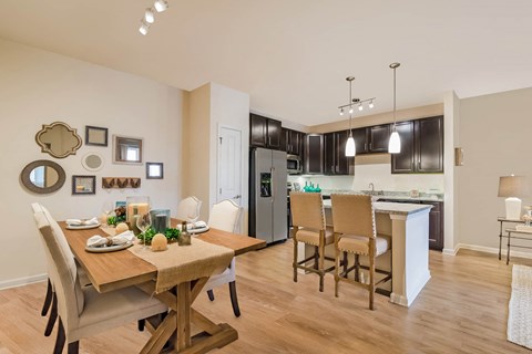 Alexander Village apartments luxury kitchen