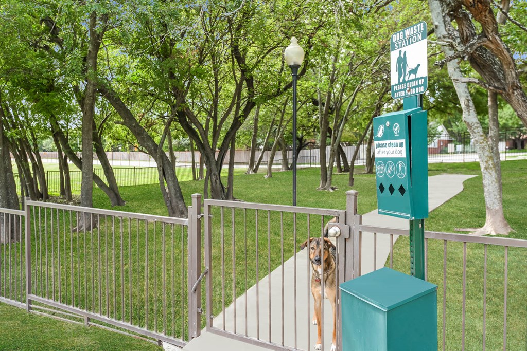 Boardwalk Med Center apartments dog park