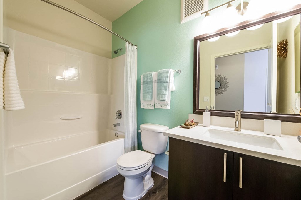 Carrick Bend apartments spacious bathroom