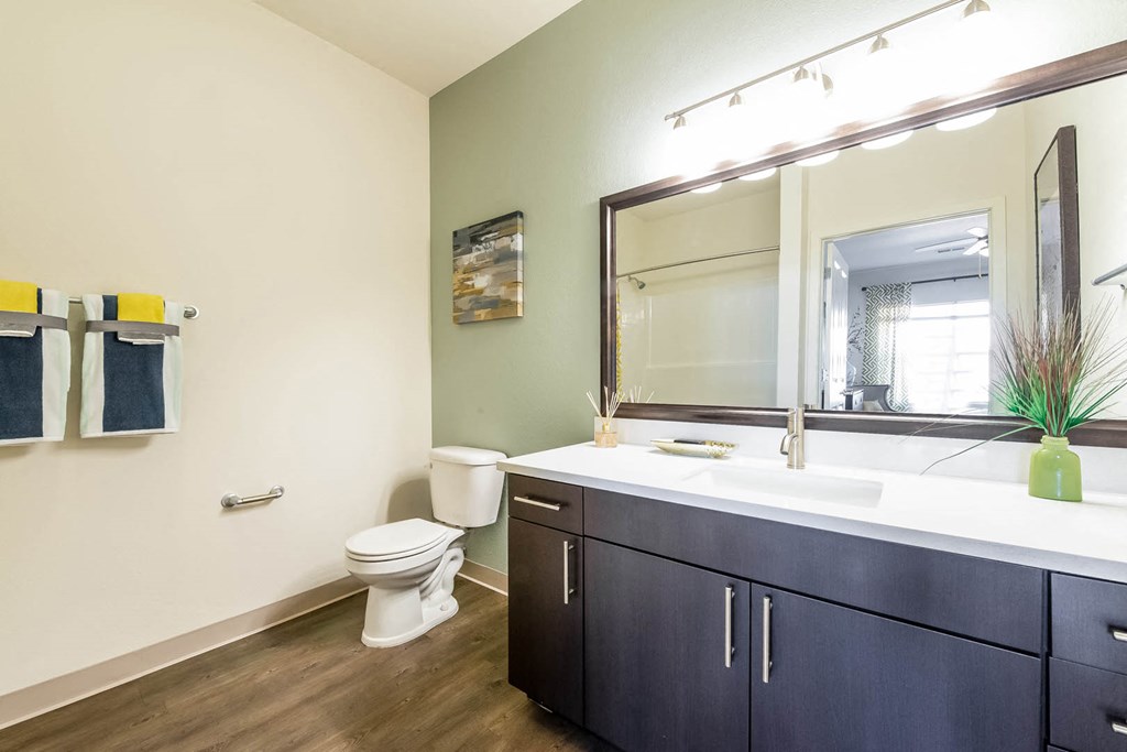 Carrick Bend apartments bathroom with designer lighting