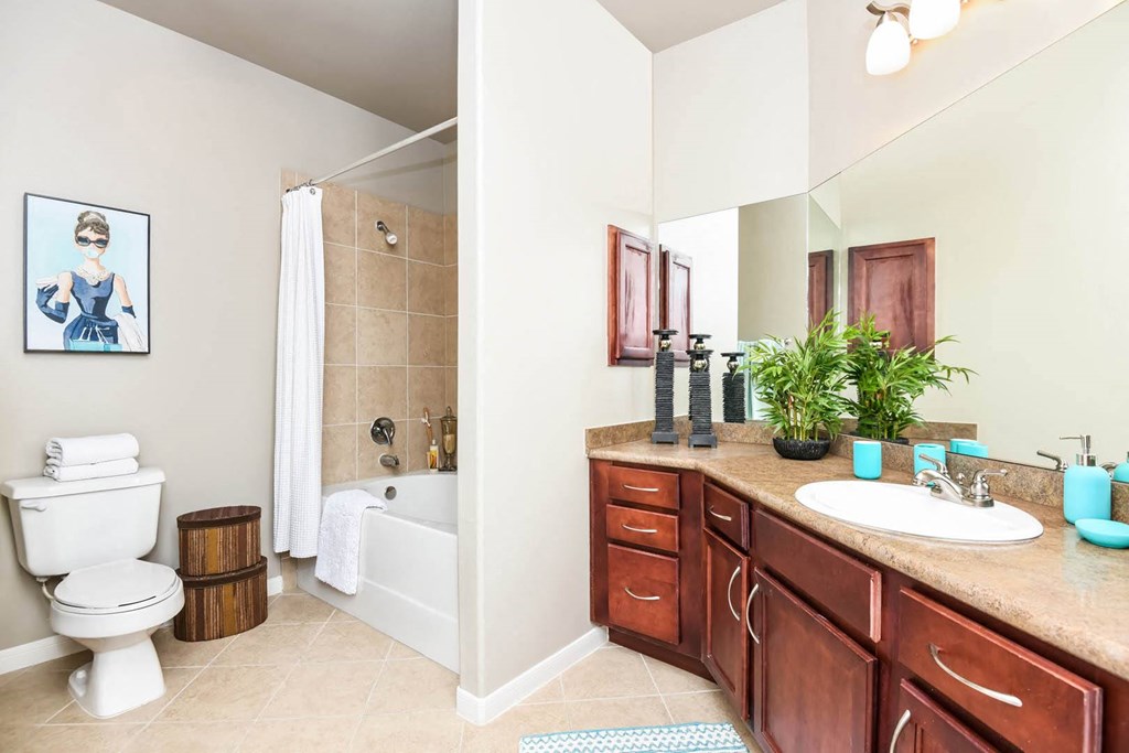Falls at Eagle Creek apartments spacious bathroom