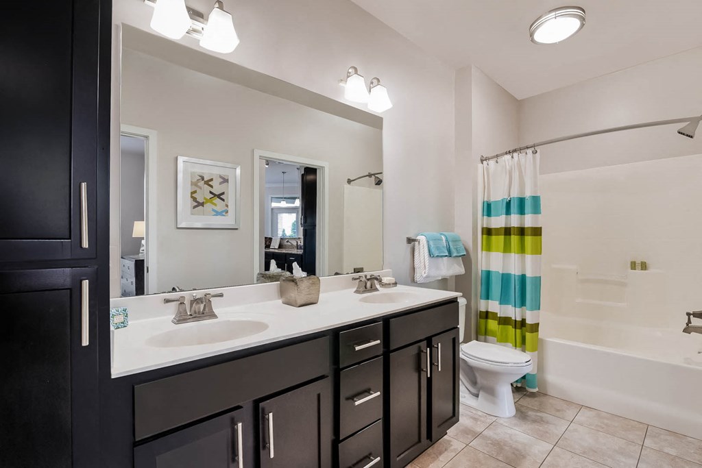 Village at Marquee Station apartments bathroom
