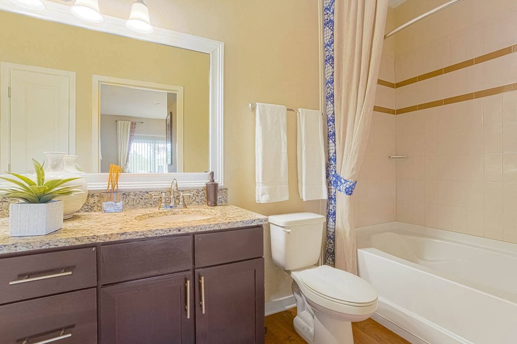 Reserves at Alafaya apartments bathroom