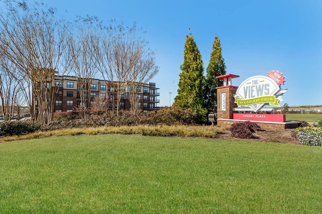 Views at Coolray Field apartments Lawrenceville, GA  30043