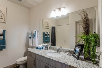 Views at Coolray Field apartments bathroom - Photo Gallery 22