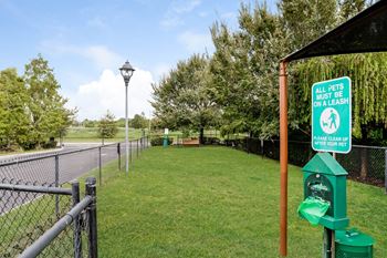 Verano dog park