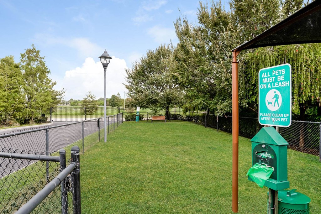 Verano apartments onsite dog park