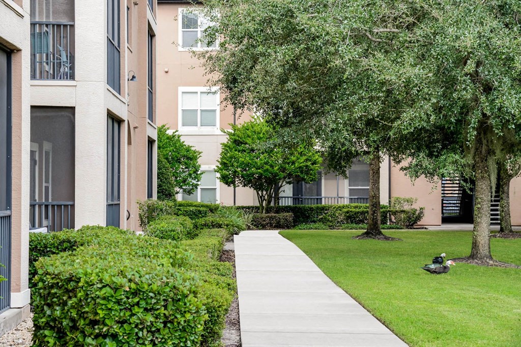 Verano apartments lush landscaping