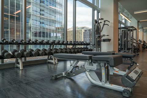 A gym with a row of dumbbells and a bench press.