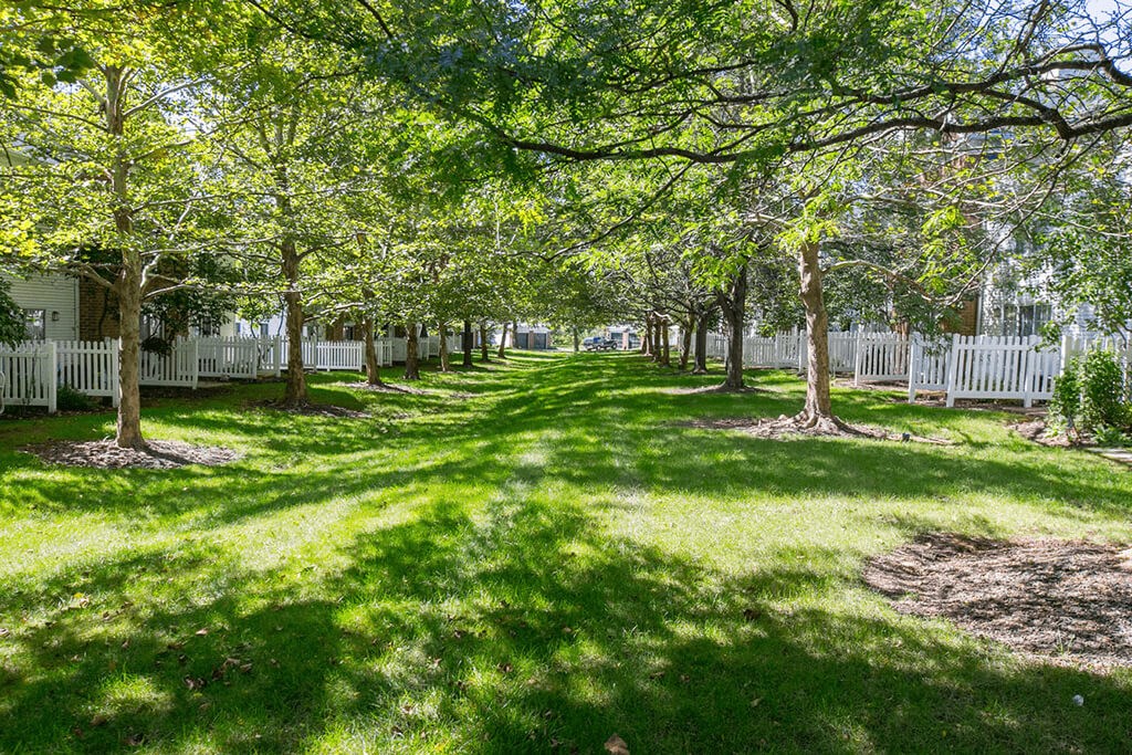 Lush Landscaping And Park-Like Setting at The Residence at Christopher Wren Apartments, Columbus, Ohio