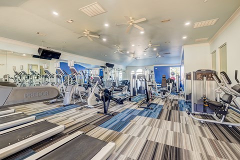 A gym with treadmills, stationary bikes, and other exercise equipment.