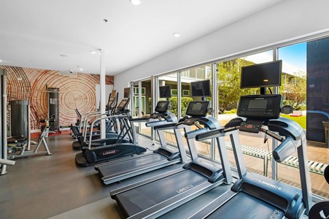 A gym with treadmills and other exercise equipment.