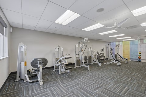 A gym with a variety of equipment including a weight bench, a leg press machine, and a cable machine.