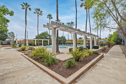 A pool area with a palm tree and a sun shade.
