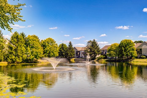 A serene lake with a fountain in the middle surrounded by lush green trees.