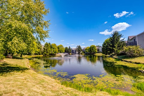 A serene lake surrounded by lush greenery and a clear blue sky.