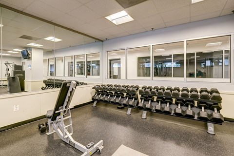 A gym with a row of dumbbells and a bench press in the foreground.