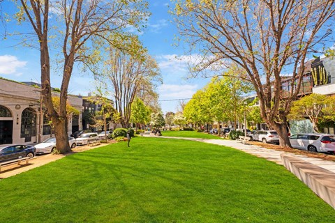A tree-lined street with cars parked on the side.