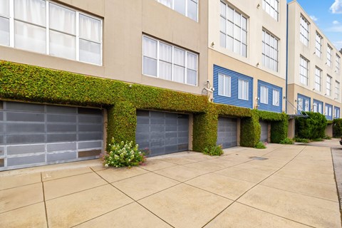 A building with a green plant growing on the side of it.