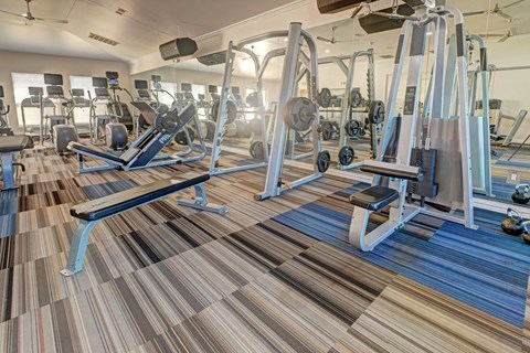 A gym with a variety of equipment including weights and a bench.