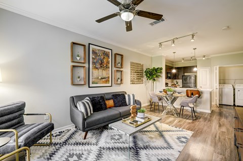 A living room with a grey couch and a rug.