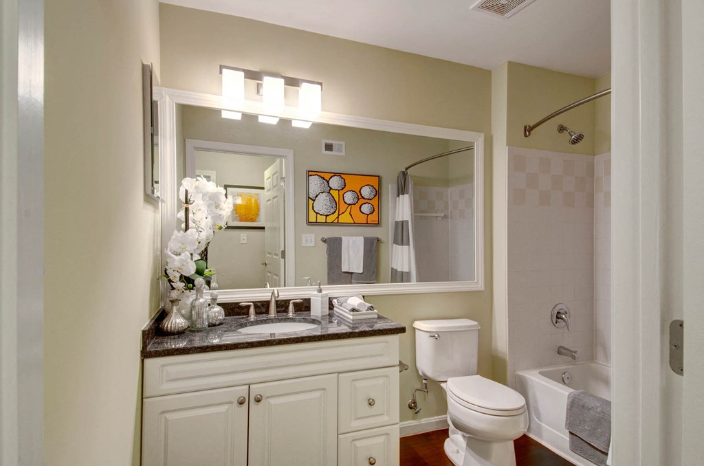 Large Bathrooms & Dual Primary Baths at Ellington Metro West, Massachusetts, 01581