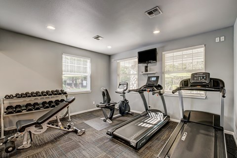 A well-equipped home gym with a treadmill, stationary bike, and dumbbells.