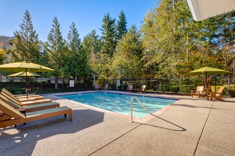 A pool surrounded by trees and lounge chairs.