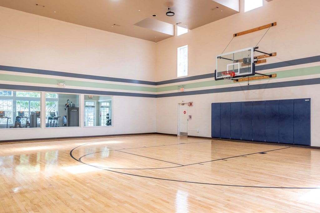 Ellington Metro West athletic court