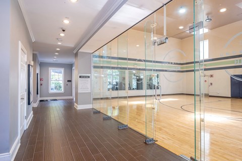 Ellington Metro West athletic court