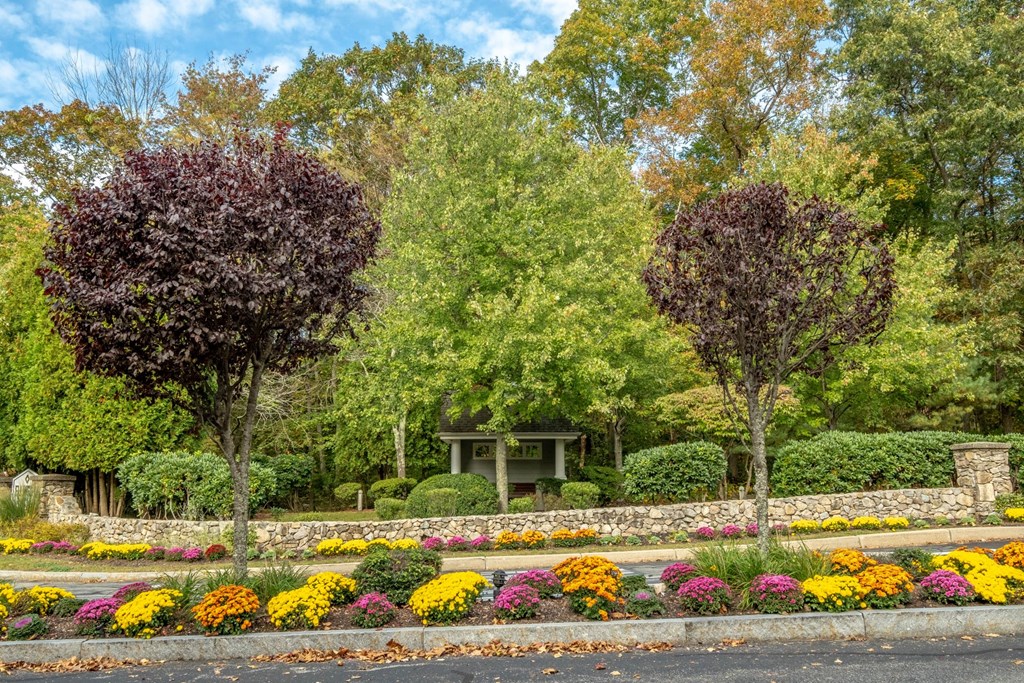 Ellington Metro West exterior scenic pathway