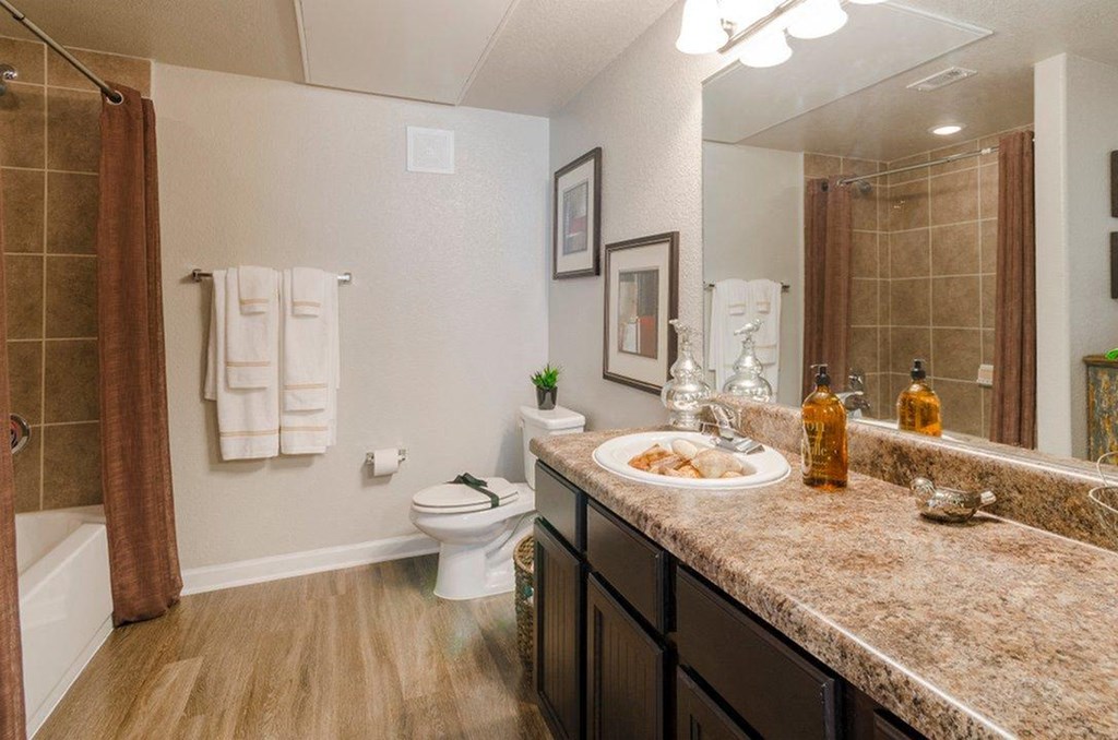 Luxurious Bathrooms at Park at Briggs Ranch, Texas, 78245