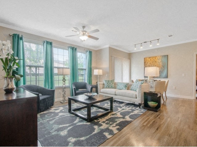 Well Lit Living Room at Park at Briggs Ranch, San Antonio, Texas