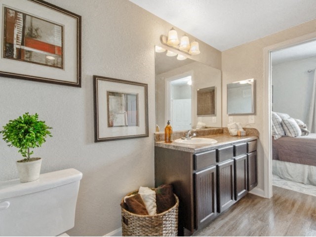 Large Bedroom En-Suite Bathroom at Park at Briggs Ranch, San Antonio, 78245