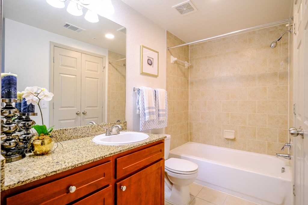 luxury bathroom at The Falls at Copper Lake apartments for rent in Houston