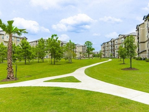 Lawn area at Park at Magnolia, Magnolia