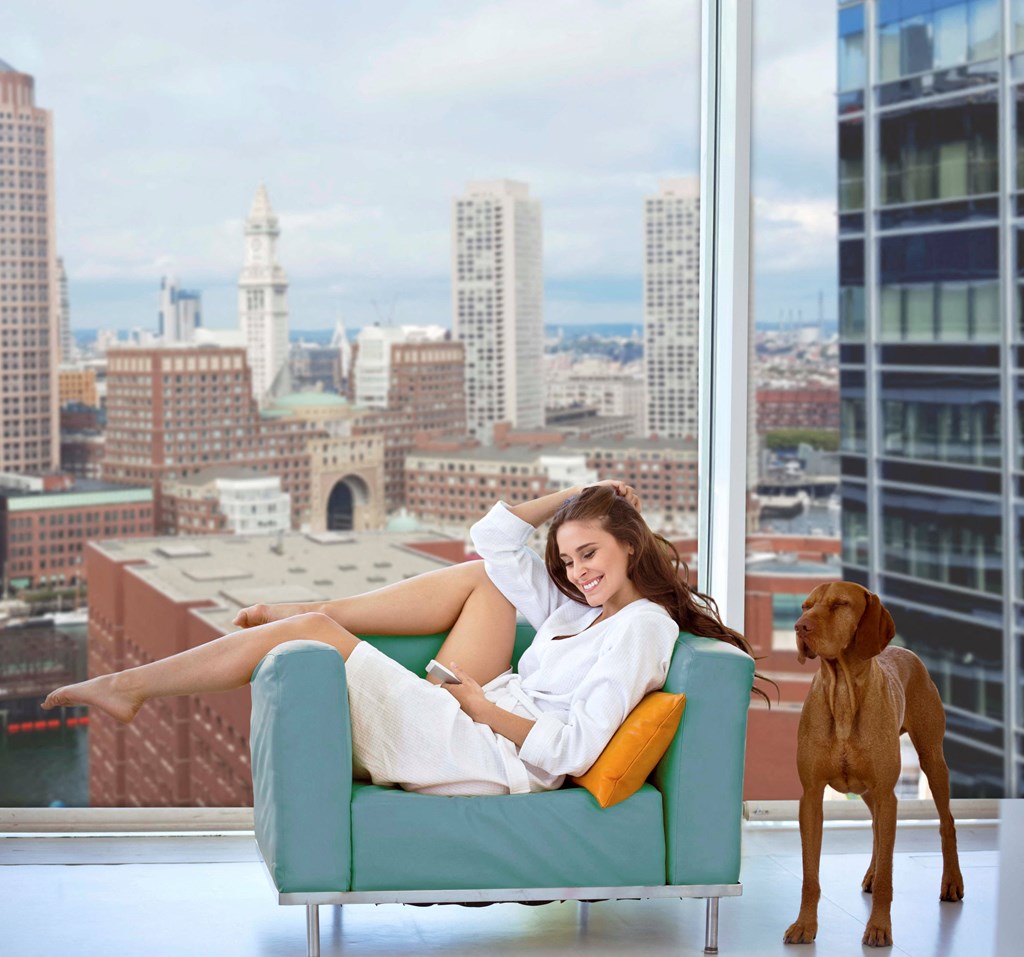 City Skyline Views at VIA Seaport Residences Boston Massachusetts Pet-Friendly, Boston Seaport Apartments