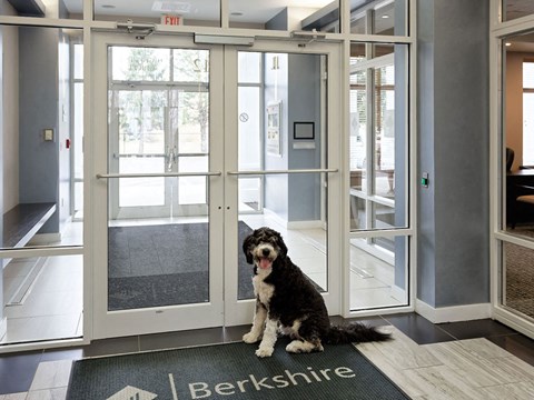 Luxury Studio, 1 and 2 Bedroom Apartments in Quincy MA, near Downtown Boston, 12 Highpoint Circle Quincy, MA 02169