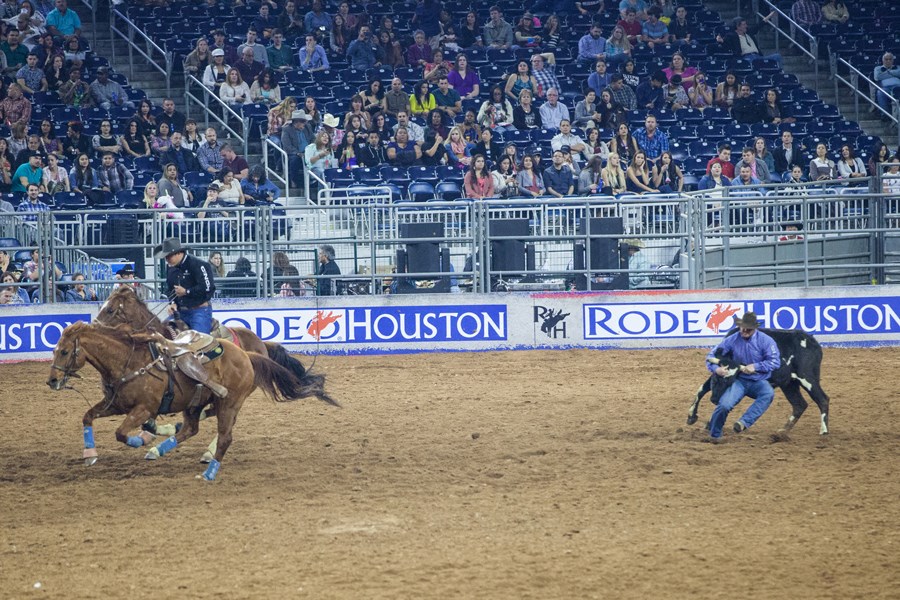 Houston Rodeo