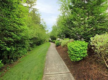 Sidewalk lined by bushes at Echo Ridge Apartments, Washington