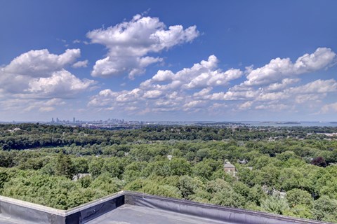 One and Two Bedroom Apartments in Quincy MA with the Best Boston Skyline Views-HighPoint Apartments