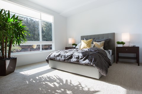 A bedroom with a large bed and a potted plant.